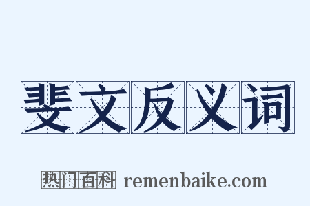 斐文反义词是什么意思的图片